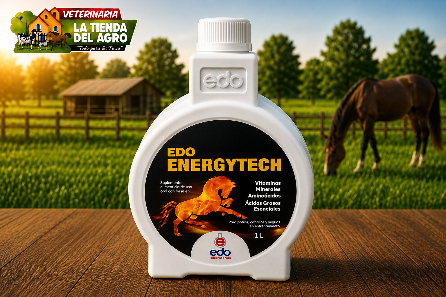 EDO ENERGYTECH 